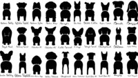 Dog Leash / Lead Hanger (Personalized for your fur-baby)