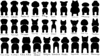 Dog Leash / Lead Hanger (Personalized for your fur-baby)