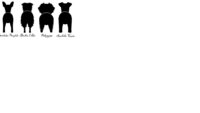 Dog Leash / Lead Hanger (Personalized for your fur-baby)