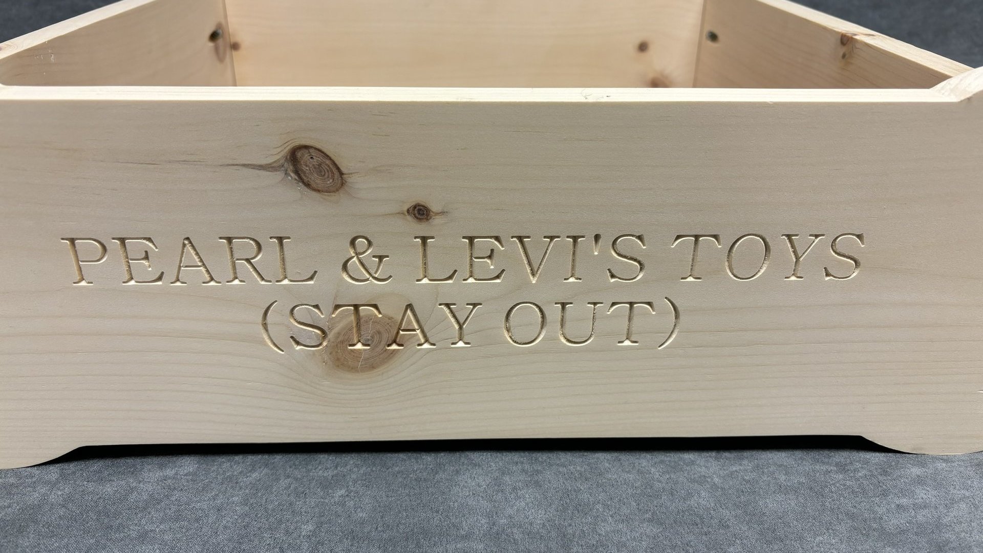 Dog Bone Toy Bin (Personalized for your fur-baby)